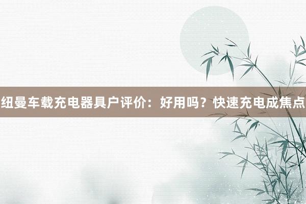 纽曼车载充电器具户评价：好用吗？快速充电成焦点